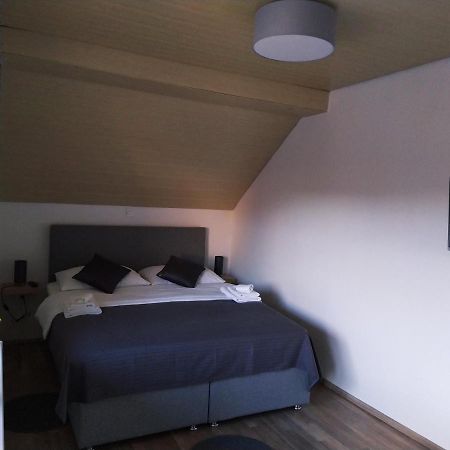 Apartment Trubarjeva33, Near Ljubljana, Free Parking Velike Lasce エクステリア 写真