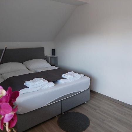 Apartment Trubarjeva33, Near Ljubljana, Free Parking Velike Lasce エクステリア 写真