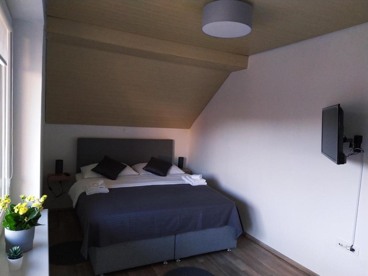 Apartment Trubarjeva33, Near Ljubljana, Free Parking Velike Lasce エクステリア 写真