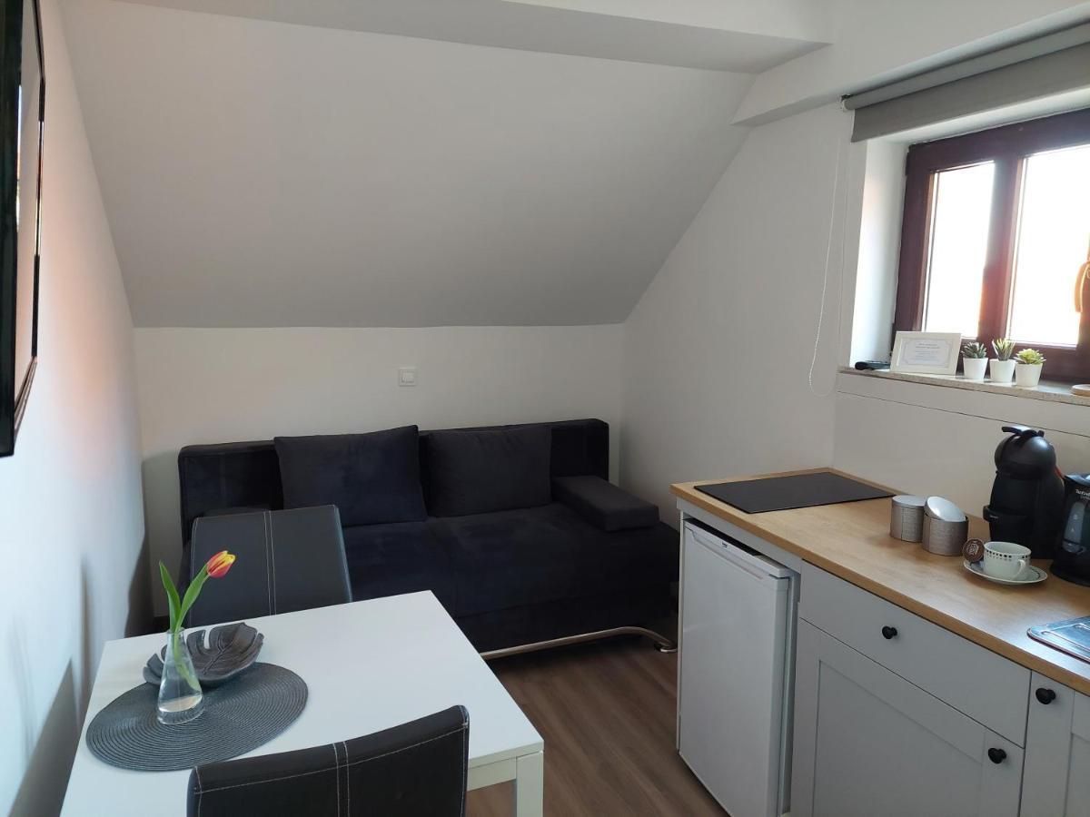 Apartment Trubarjeva33, Near Ljubljana, Free Parking Velike Lasce エクステリア 写真